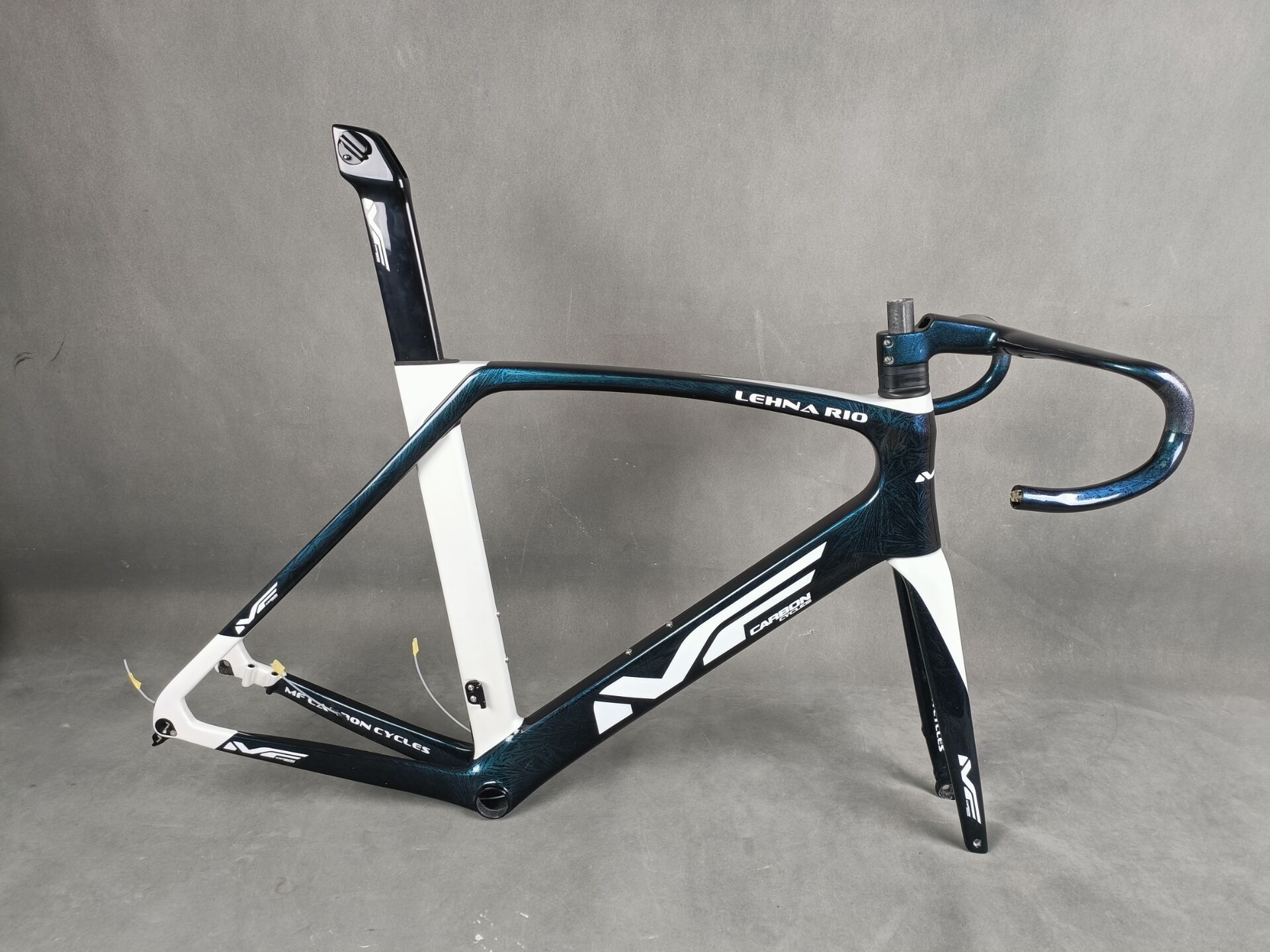 CADRE LEHNA RIO - MF Carbon Cycles